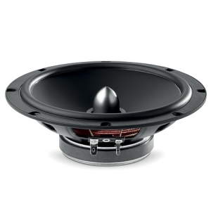 loa-phan-tan-cua-truoc-focal-auditor-ase-165-s