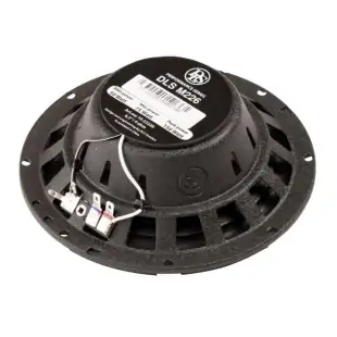 Loa cánh phân tần 2-way DLS MK6.2i