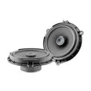 loa-canh-dong-truc-focal-ic-ford-165-cao-cap