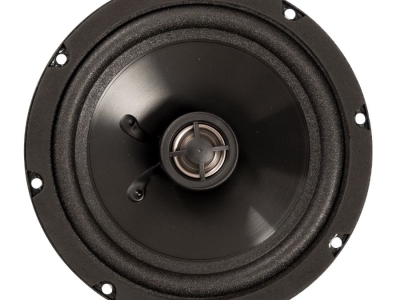 Loa cánh đồng trục DLS M226